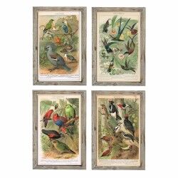 Cadre DKD Home Decor 45 x 2 x 65 cm Oiseaux Cottage (4 Pièces)