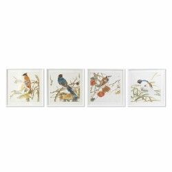 Schilderij DKD Home Decor Vogel Shabby Chic 60 x 2,5 x 60 cm (4 Stuks)