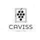 Cave à Vin de service Caviss C252GBEG